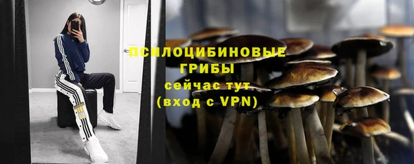 ПСИЛОЦИБИНОВЫЕ ГРИБЫ Волосово